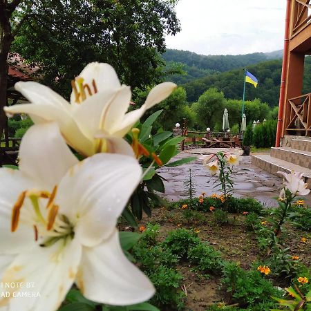 Bilovoddya Hotel Sil 외부 사진