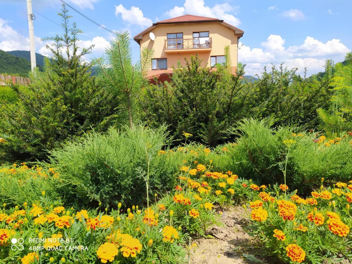 Bilovoddya Hotel Sil 외부 사진