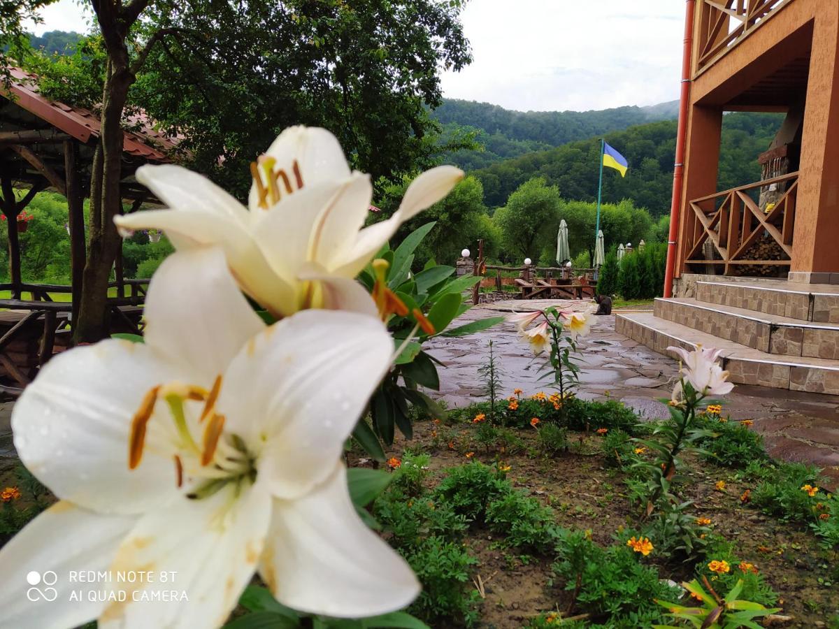 Bilovoddya Hotel Sil 외부 사진